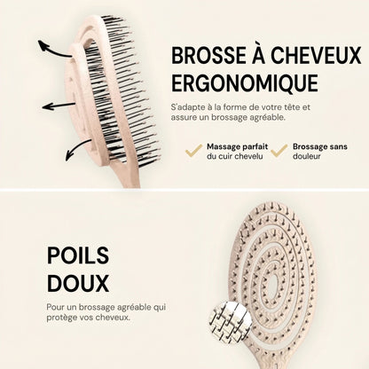 Snail - Brosse Démêlante